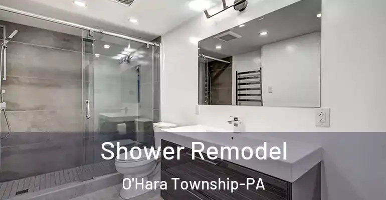 inner Bathroom imggen Shower Remodel O'Hara Township-PA