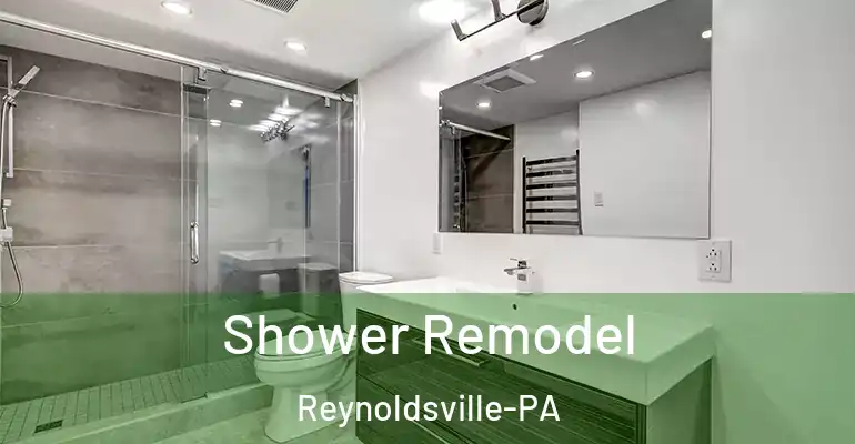 inner Bathroom imggen Shower Remodel Reynoldsville-PA