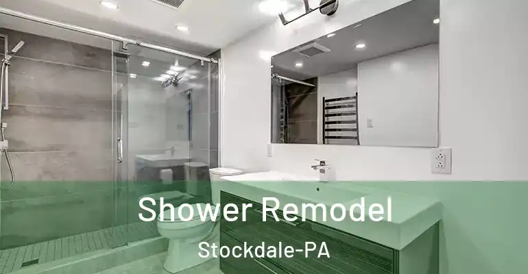 inner Bathroom imggen Shower Remodel Stockdale-PA