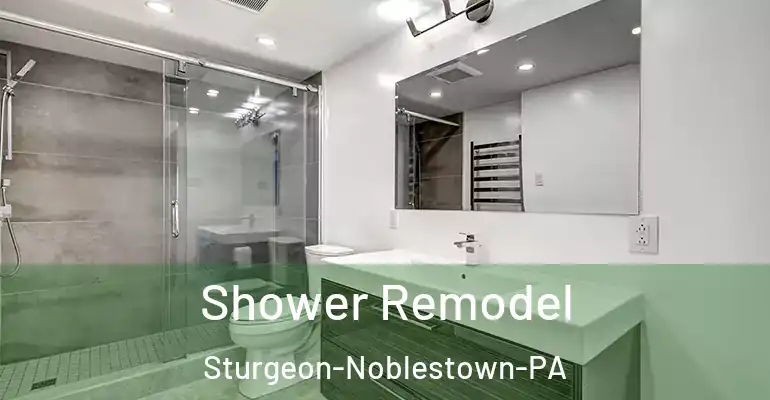 inner Bathroom imggen Shower Remodel Sturgeon-Noblestown-PA