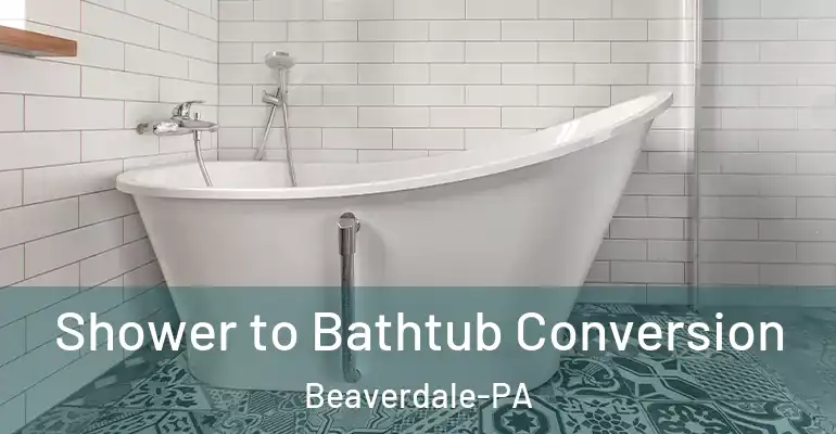 inner Bathroom imggen Shower to Bathtub Conversion Beaverdale-PA