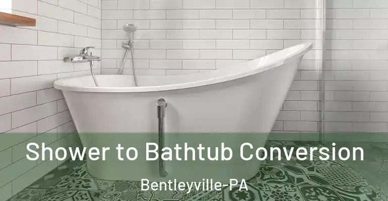 inner Bathroom imggen Shower to Bathtub Conversion Bentleyville-PA