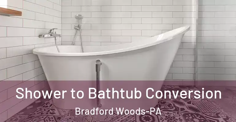 inner Bathroom imggen Shower to Bathtub Conversion Bradford Woods-PA