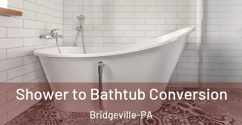 inner Bathroom imggen Shower to Bathtub Conversion Bridgeville-PA