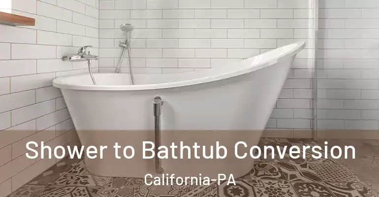 inner Bathroom imggen Shower to Bathtub Conversion California-PA