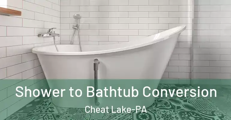 inner Bathroom imggen Shower to Bathtub Conversion Cheat Lake-PA
