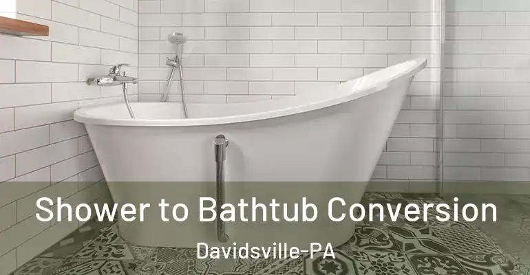 inner Bathroom imggen Shower to Bathtub Conversion Davidsville-PA