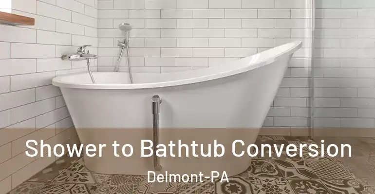 inner Bathroom imggen Shower to Bathtub Conversion Delmont-PA