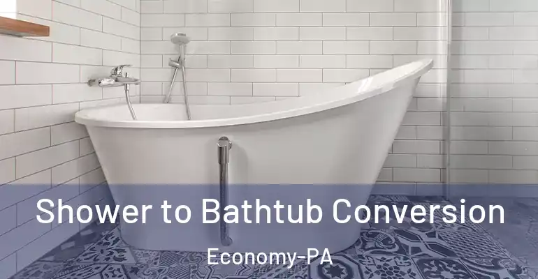 inner Bathroom imggen Shower to Bathtub Conversion Economy-PA