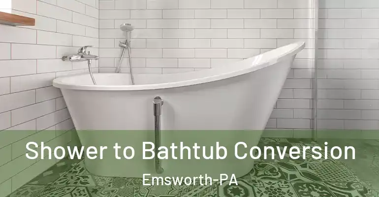 inner Bathroom imggen Shower to Bathtub Conversion Emsworth-PA