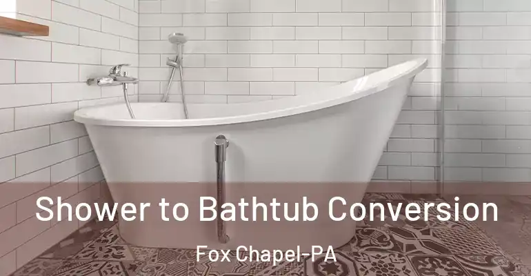 inner Bathroom imggen Shower to Bathtub Conversion Fox Chapel-PA