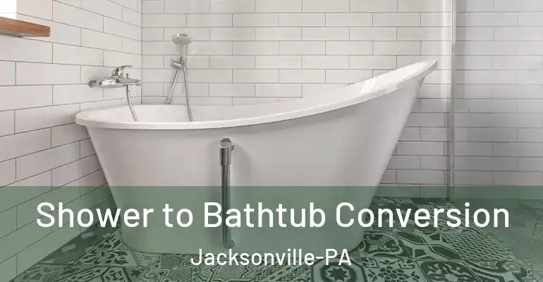 inner Bathroom imggen Shower to Bathtub Conversion Jacksonville-PA