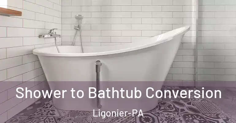 inner Bathroom imggen Shower to Bathtub Conversion Ligonier-PA