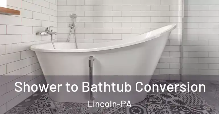 inner Bathroom imggen Shower to Bathtub Conversion Lincoln-PA