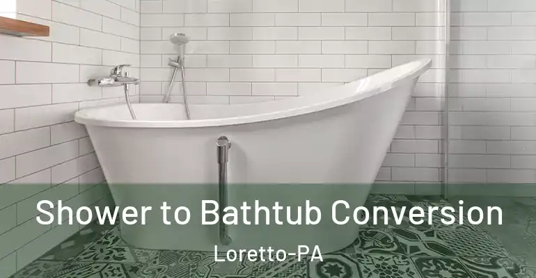 inner Bathroom imggen Shower to Bathtub Conversion Loretto-PA