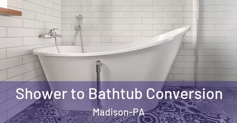 inner Bathroom imggen Shower to Bathtub Conversion Madison-PA