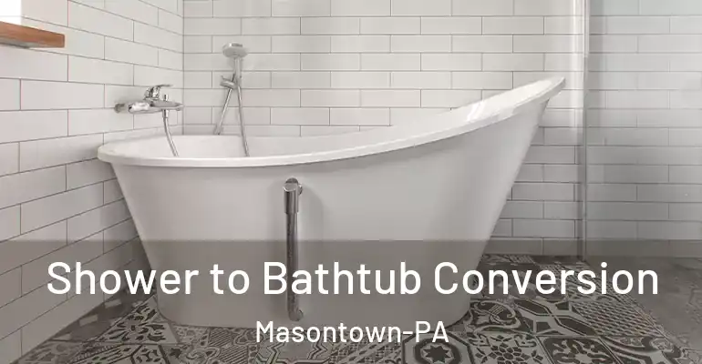 inner Bathroom imggen Shower to Bathtub Conversion Masontown-PA