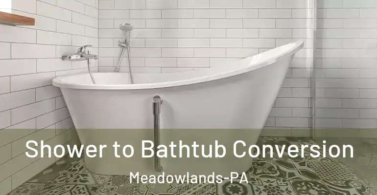 inner Bathroom imggen Shower to Bathtub Conversion Meadowlands-PA