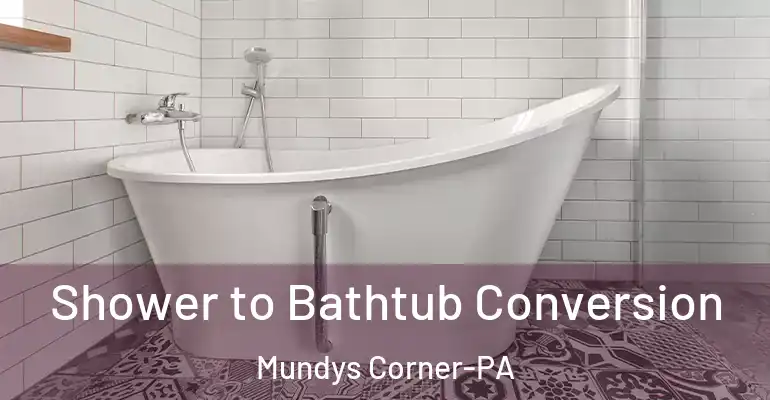 inner Bathroom imggen Shower to Bathtub Conversion Mundys Corner-PA