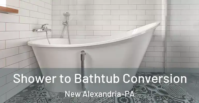 inner Bathroom imggen Shower to Bathtub Conversion New Alexandria-PA