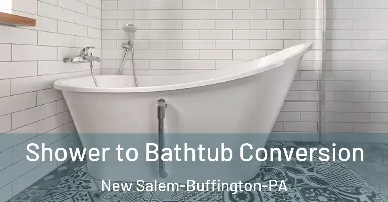 inner Bathroom imggen Shower to Bathtub Conversion New Salem-Buffington-PA