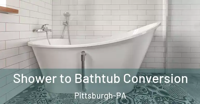 inner Bathroom imggen Shower to Bathtub Conversion Pittsburgh-PA