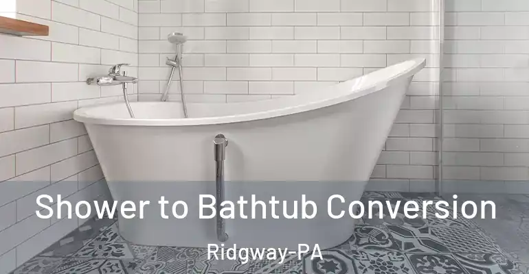 inner Bathroom imggen Shower to Bathtub Conversion Ridgway-PA