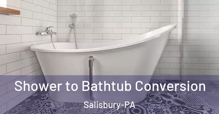 inner Bathroom imggen Shower to Bathtub Conversion Salisbury-PA