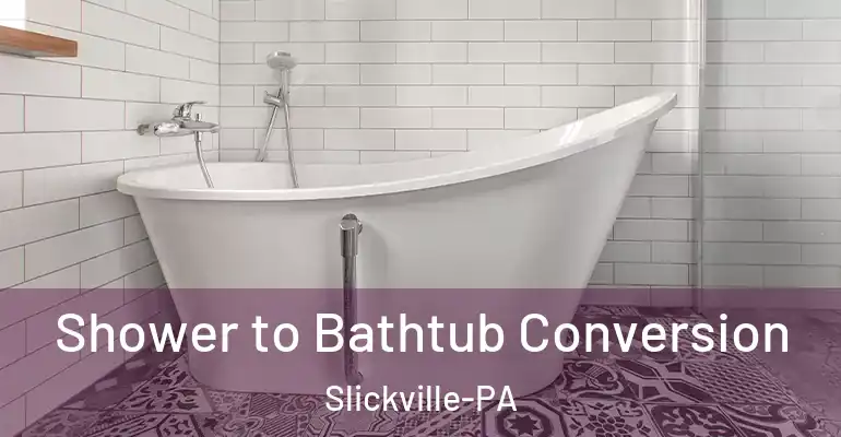 inner Bathroom imggen Shower to Bathtub Conversion Slickville-PA