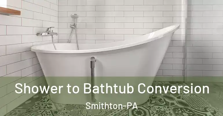 inner Bathroom imggen Shower to Bathtub Conversion Smithton-PA