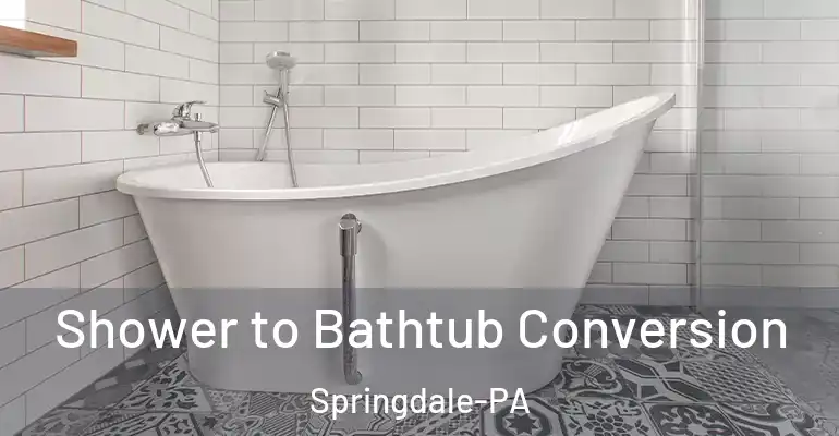 inner Bathroom imggen Shower to Bathtub Conversion Springdale-PA
