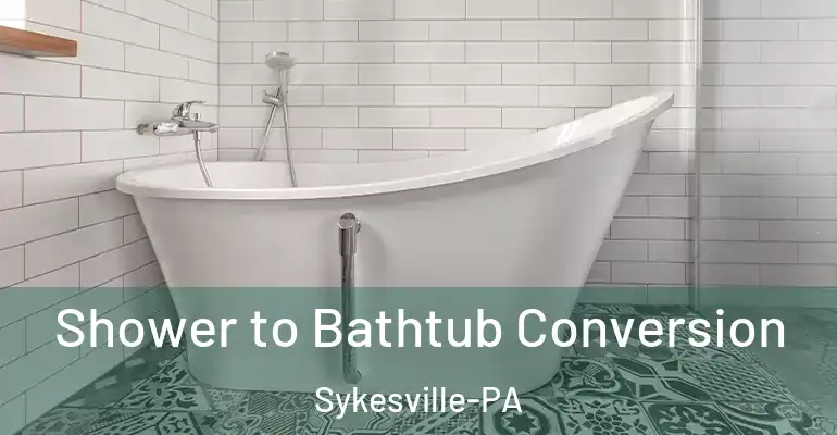 inner Bathroom imggen Shower to Bathtub Conversion Sykesville-PA
