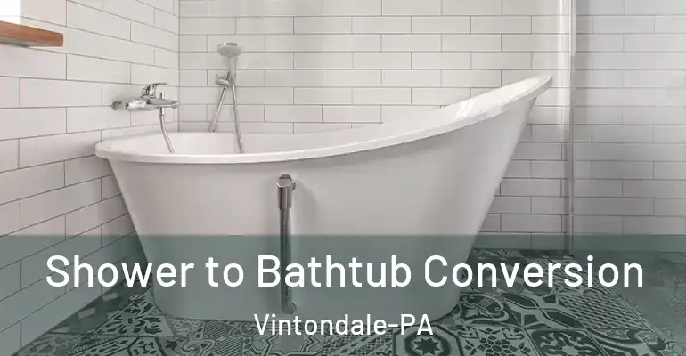 inner Bathroom imggen Shower to Bathtub Conversion Vintondale-PA