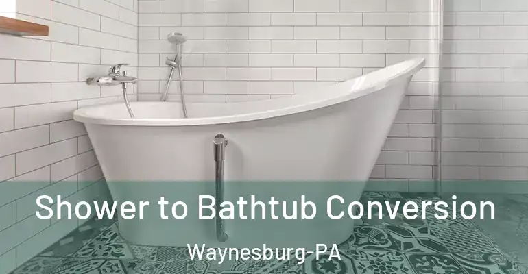 inner Bathroom imggen Shower to Bathtub Conversion Waynesburg-PA