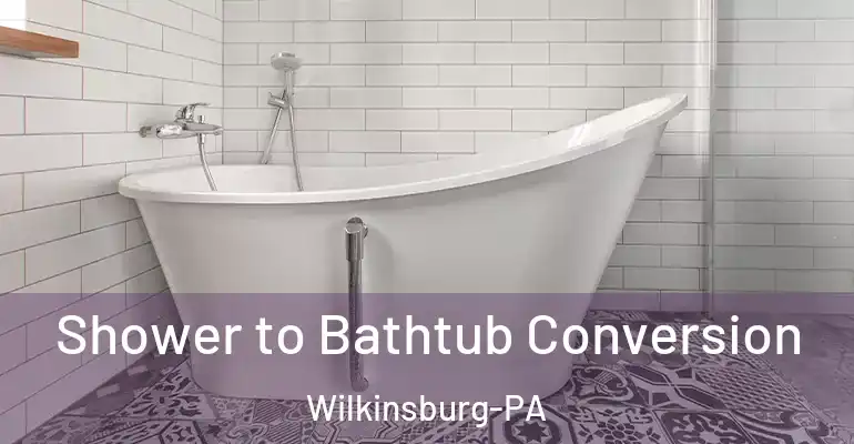 inner Bathroom imggen Shower to Bathtub Conversion Wilkinsburg-PA