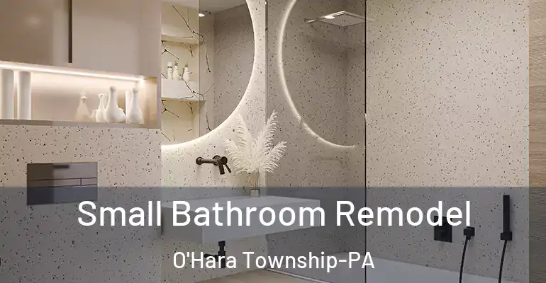 inner Bathroom imggen Small Bathroom Remodel O'Hara Township-PA