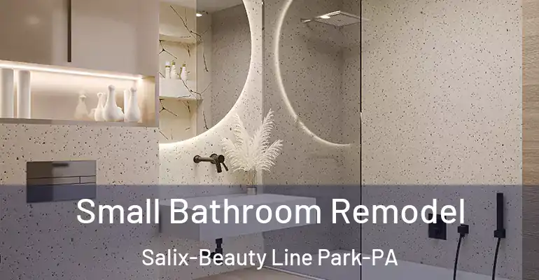 inner Bathroom imggen Small Bathroom Remodel Salix-Beauty Line Park-PA
