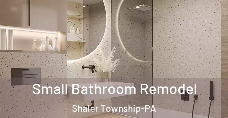 inner Bathroom imggen Small Bathroom Remodel Shaler Township-PA