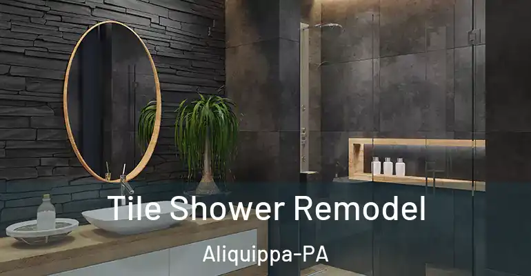 inner Bathroom imggen Tile Shower Remodel Aliquippa-PA