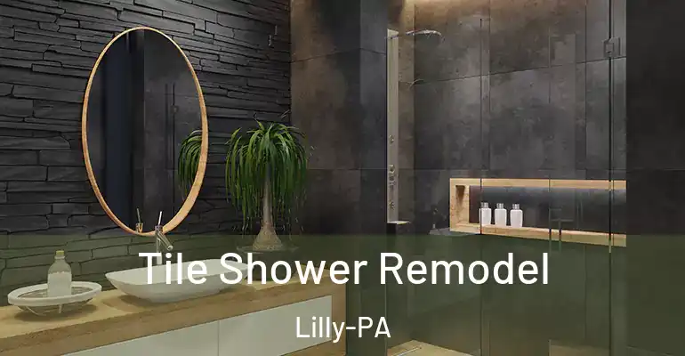 inner Bathroom imggen Tile Shower Remodel Lilly-PA