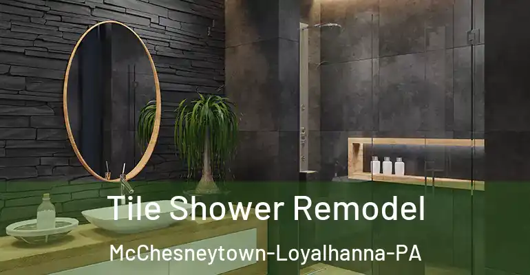 inner Bathroom imggen Tile Shower Remodel McChesneytown-Loyalhanna-PA