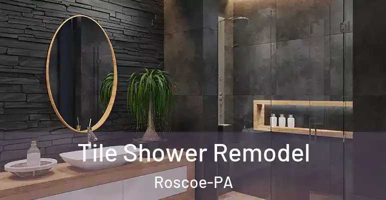 inner Bathroom imggen Tile Shower Remodel Roscoe-PA