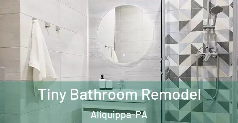 inner Bathroom imggen Tiny Bathroom Remodel Aliquippa-PA