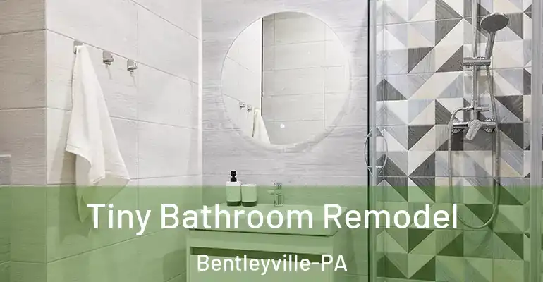 inner Bathroom imggen Tiny Bathroom Remodel Bentleyville-PA