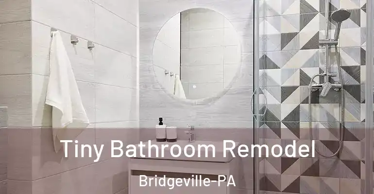 inner Bathroom imggen Tiny Bathroom Remodel Bridgeville-PA