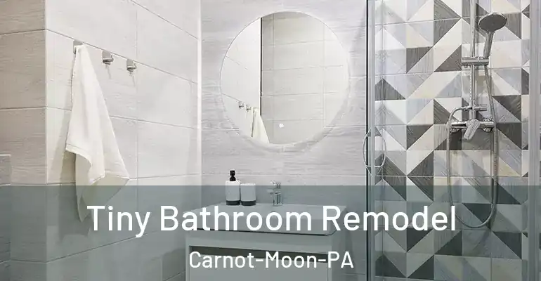 inner Bathroom imggen Tiny Bathroom Remodel Carnot-Moon-PA