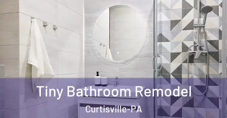 inner Bathroom imggen Tiny Bathroom Remodel Curtisville-PA