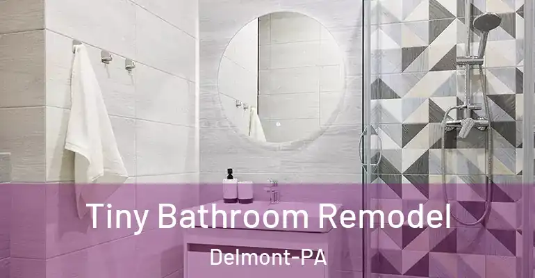inner Bathroom imggen Tiny Bathroom Remodel Delmont-PA