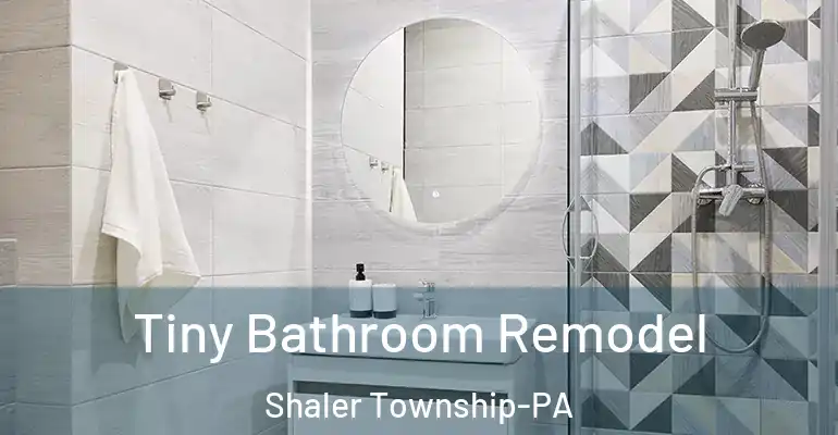 inner Bathroom imggen Tiny Bathroom Remodel Shaler Township-PA