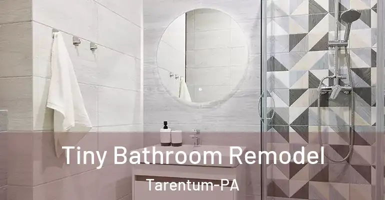 inner Bathroom imggen Tiny Bathroom Remodel Tarentum-PA